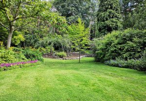 Optimiser l'expérience du jardin à Brabant-en-Argonne